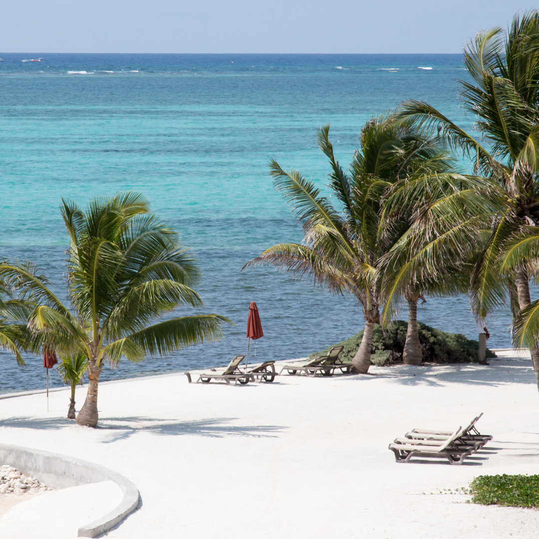white sand beach with palm trees on Ambergris Caye
