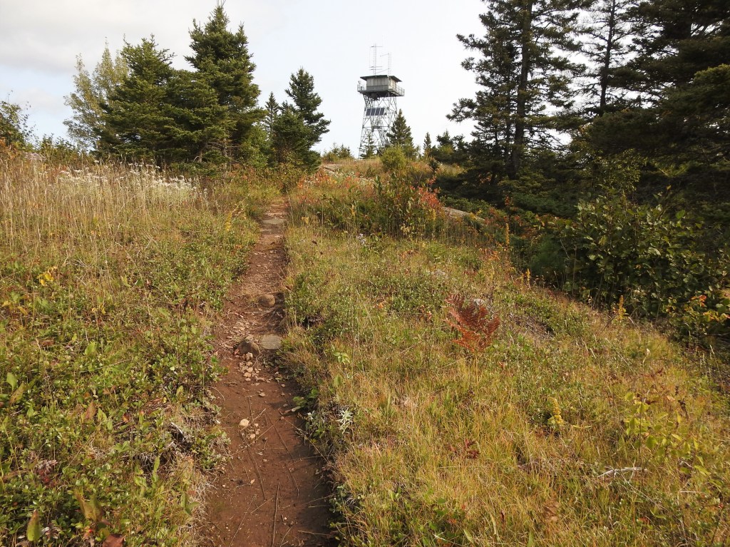 A steep trail in Isle Royale National Park